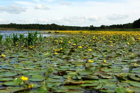 Mar Negro e Delta do Danúbio em 2 dias